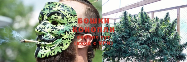 дмт Осинники