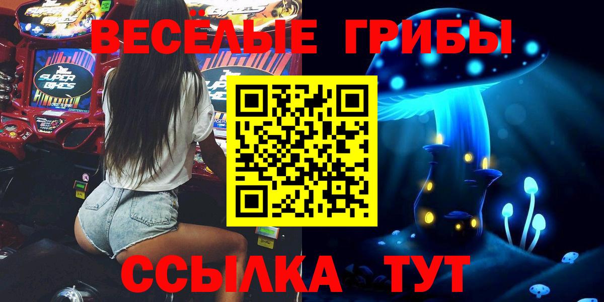 Псилоцибиновые грибы Psilocybe  Стрежевой 