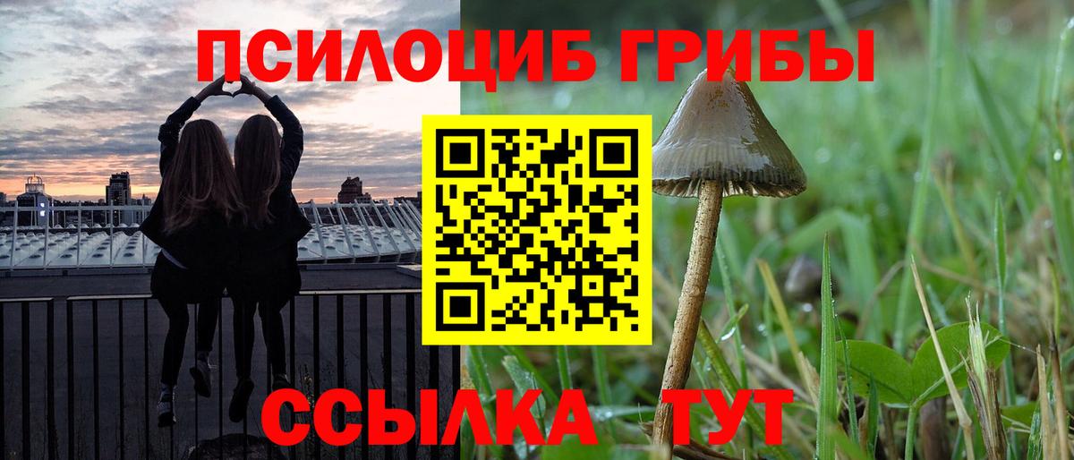 Псилоцибиновые грибы Cubensis  Вход с VPN  Стрежевой  где найти   Галлюциногенные грибы Cubensis 
