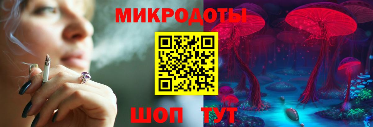 Псилоцибиновые грибы Psilocybe Стрежевой